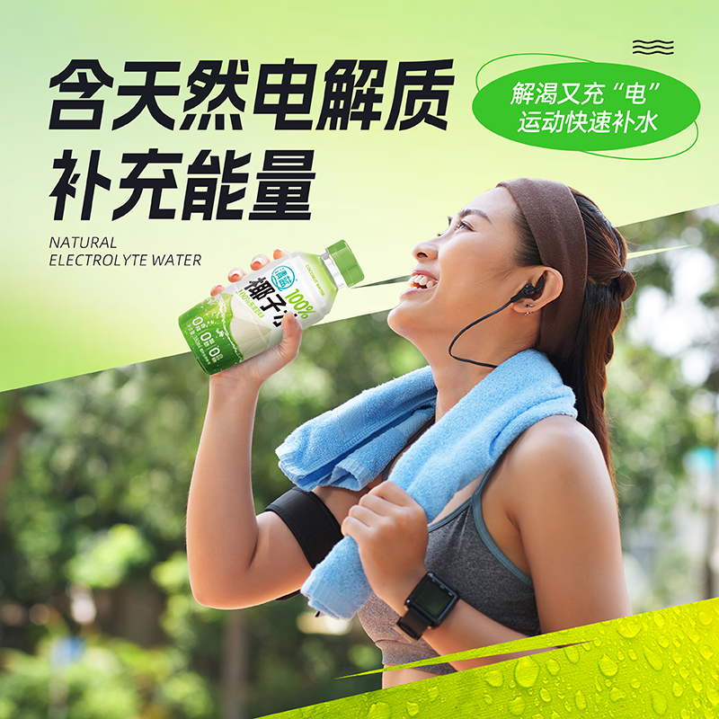 100%椰子水380ml
