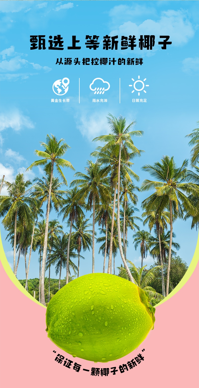 生椰啵啵380ml-詳情頁(yè)_06.jpg